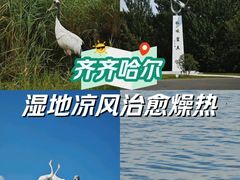 -黑龙江扎龙生态旅游区