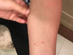 -三亚凤凰水城凯莱度假酒店