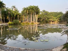 -中国科学院西双版纳热带植物园