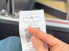 -BUS TOUR观光巴士