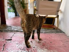 -槟城街头艺术街区