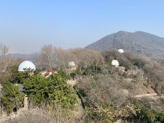 -紫金山天文台