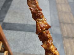 -民族烤羊·烤羊肉串·烤羊排(南城店)