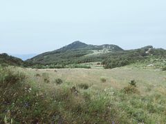-白草畔自然风景区