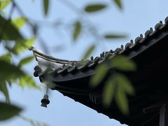 -常熟方塔园