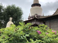 -张掖大佛寺景区