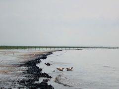 -青海湖仙女湾景区