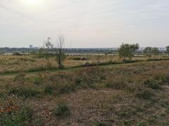 -绿堤公园