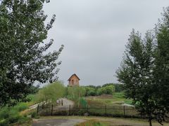 -东郊湿地公园