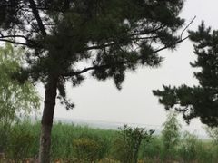 -绿堤公园