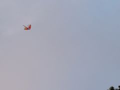 -上海滨江森林公园