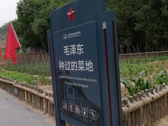 -延安杨家岭革命旧址