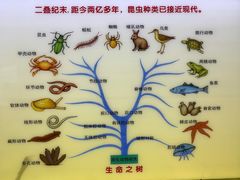 -上海昆虫博物馆