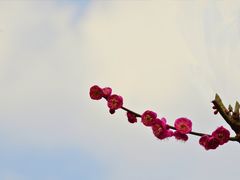-重庆彩云湖湿地公园
