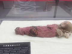 -巴音郭楞蒙古自治州博物馆