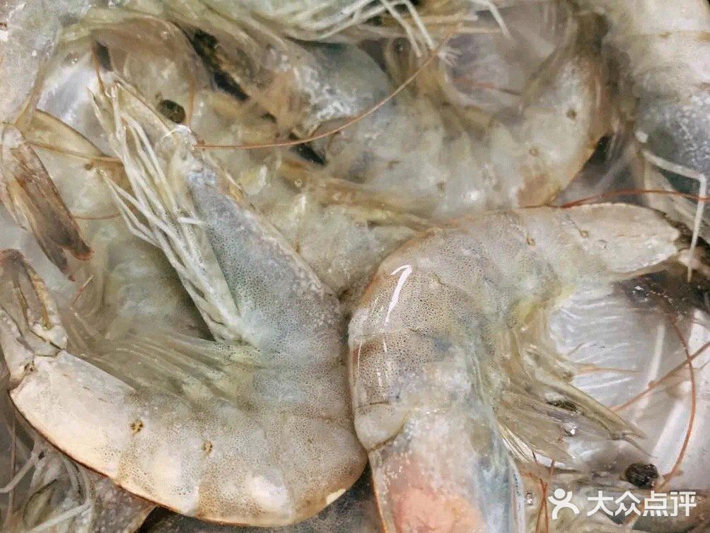 美味的鲜虾蔬菜饼[调皮]