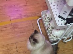 -剧狐剧本杀·月球探案馆(人民广场1号店)