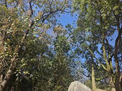 -敬亭山风景名胜区