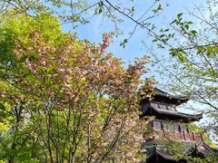 -堤角公园