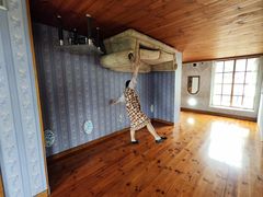 -金山农民画村-枫泾波兰倒置屋