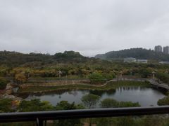 阳台-广州汇华希尔顿逸林酒店