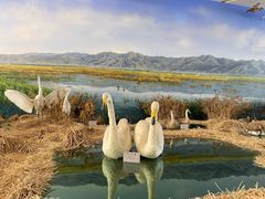 -延庆地质公园博物馆