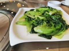 蒜蓉炒生菜-观山美厨·精致粤菜(西樵店)