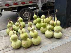 -龍聚祥烧麦馆(鼓楼店)