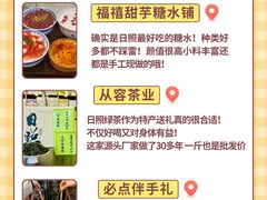 -日照海滨国家森林公园