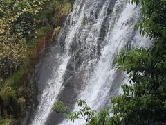 -大奇山国家森林公园