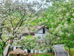 -龙潭生态旅游度假区