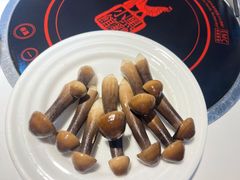 黑鸡枞菌（放入鸡汤更提鲜）-黑鸡小馆(金源店)