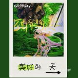 布达拉宫旁有一家地道美味的藏餐厅❗️   