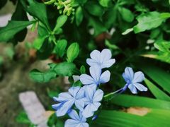 -流俗地咖啡馆
