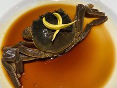 醉蟹-成隆行·蟹王府(九江路店)