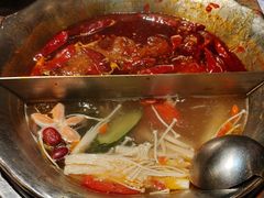 -小龙坎火锅(东汇城店)