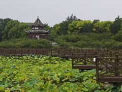 -上海海湾国家森林公园