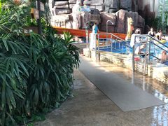 -中家鑫园温泉酒店鑫悦汤泉