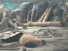 -武汉动物园