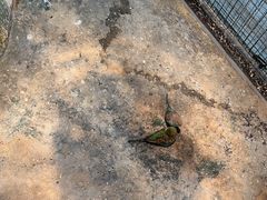 -顺德南宏海立方海洋公园