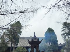 -洛阳白马寺