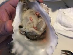 -亚特兰蒂斯•OSSIANO奥西亚诺海底餐厅