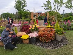 -上海植物园-4号门售票处