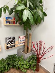 -摩睫+皮肤管理·科学美容中心