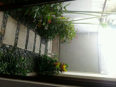 android_upload_pic-候鸟水榕庄度假酒店