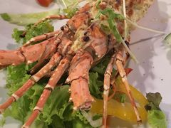-Onion restaurant