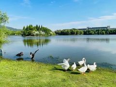 -江南大学(蠡湖校区)