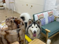 -李小姐の猫咖啡馆(五角场店)