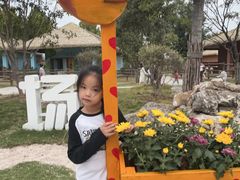 -祥源·阜阳生态乐园