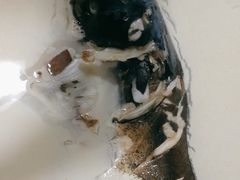 -香山湖渔家大院